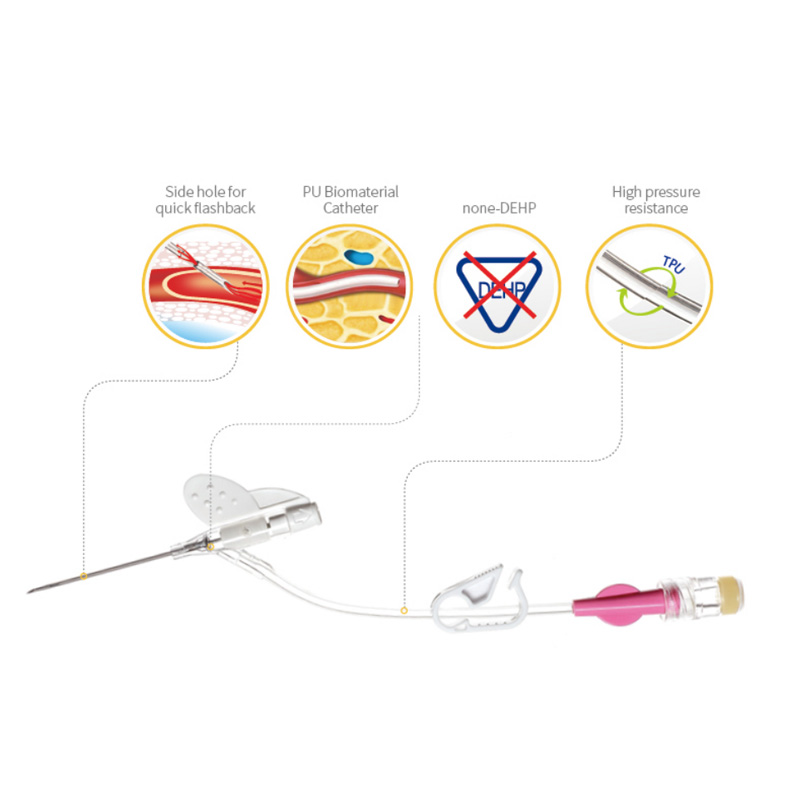 IV Catheter (1)