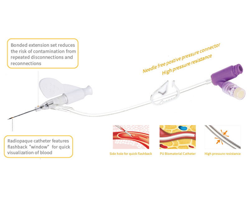 IV Catheter system details