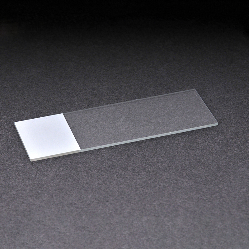 Microscope Glass Slides (5)