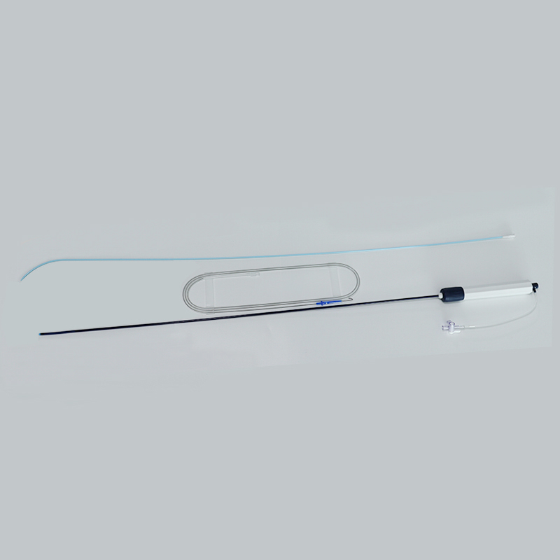 Steerable Intracardiac Catheter Introducer Kit (5)