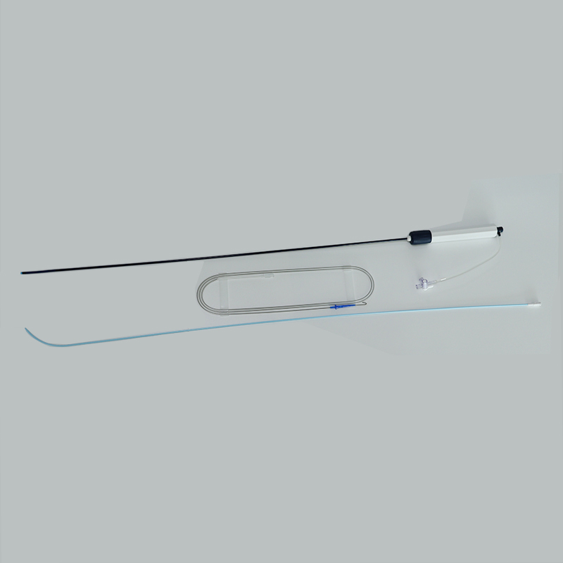 Steerable Intracardiac Catheter Introducer Kit (6)